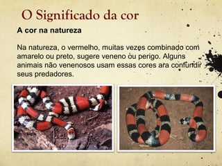 O Significado da cor
A cor na natureza

Na natureza, o vermelho, muitas vezes combinado com
amarelo ou preto, sugere veneno ou perigo. Alguns
animais não venenosos usam essas cores ara confundir
seus predadores.
 