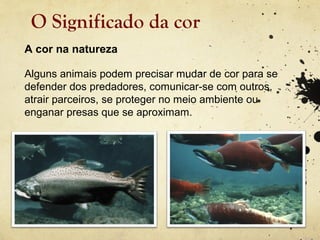 O Significado da cor
A cor na natureza

Alguns animais podem precisar mudar de cor para se
defender dos predadores, comunicar-se com outros,
atrair parceiros, se proteger no meio ambiente ou
enganar presas que se aproximam.
 