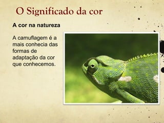 O Significado da cor
A cor na natureza

A camuflagem é a
mais conhecia das
formas de
adaptação da cor
que conhecemos.
 