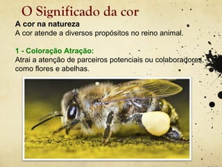 O Significado da cor
A cor na natureza
A cor atende a diversos propósitos no reino animal.

1 - Coloração Atração:
Atrai a atenção de parceiros potenciais ou colaboradores,
como flores e abelhas.
 