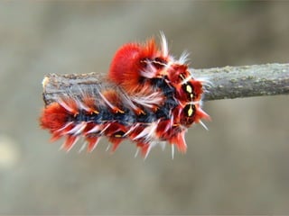 Design Digital I Teoria das Cores