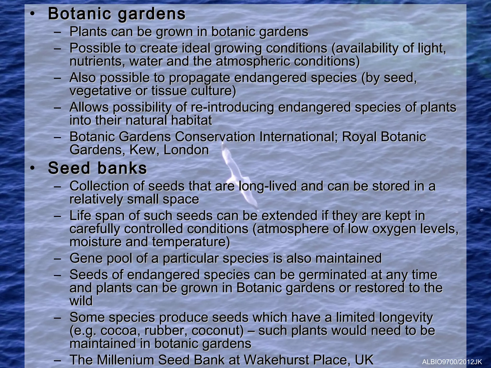• Botanic gardens
  – Plants can be grown in botanic gardens
  – Possible to create ideal growing conditions (availability of light,
    nutrients, water and the atmospheric conditions)
  – Also possible to propagate endangered species (by seed,
    vegetative or tissue culture)
  – Allows possibility of re-introducing endangered species of plants
    into their natural habitat
  – Botanic Gardens Conservation International; Royal Botanic
    Gardens, Kew, London
• Seed banks
  – Collection of seeds that are long-lived and can be stored in a
    relatively small space
  – Life span of such seeds can be extended if they are kept in
    carefully controlled conditions (atmosphere of low oxygen levels,
    moisture and temperature)
  – Gene pool of a particular species is also maintained
  – Seeds of endangered species can be germinated at any time
    and plants can be grown in Botanic gardens or restored to the
    wild
  – Some species produce seeds which have a limited longevity
    (e.g. cocoa, rubber, coconut) – such plants would need to be
    maintained in botanic gardens
  – The Millenium Seed Bank at Wakehurst Place, UK              ALBIO9700/2012JK
 