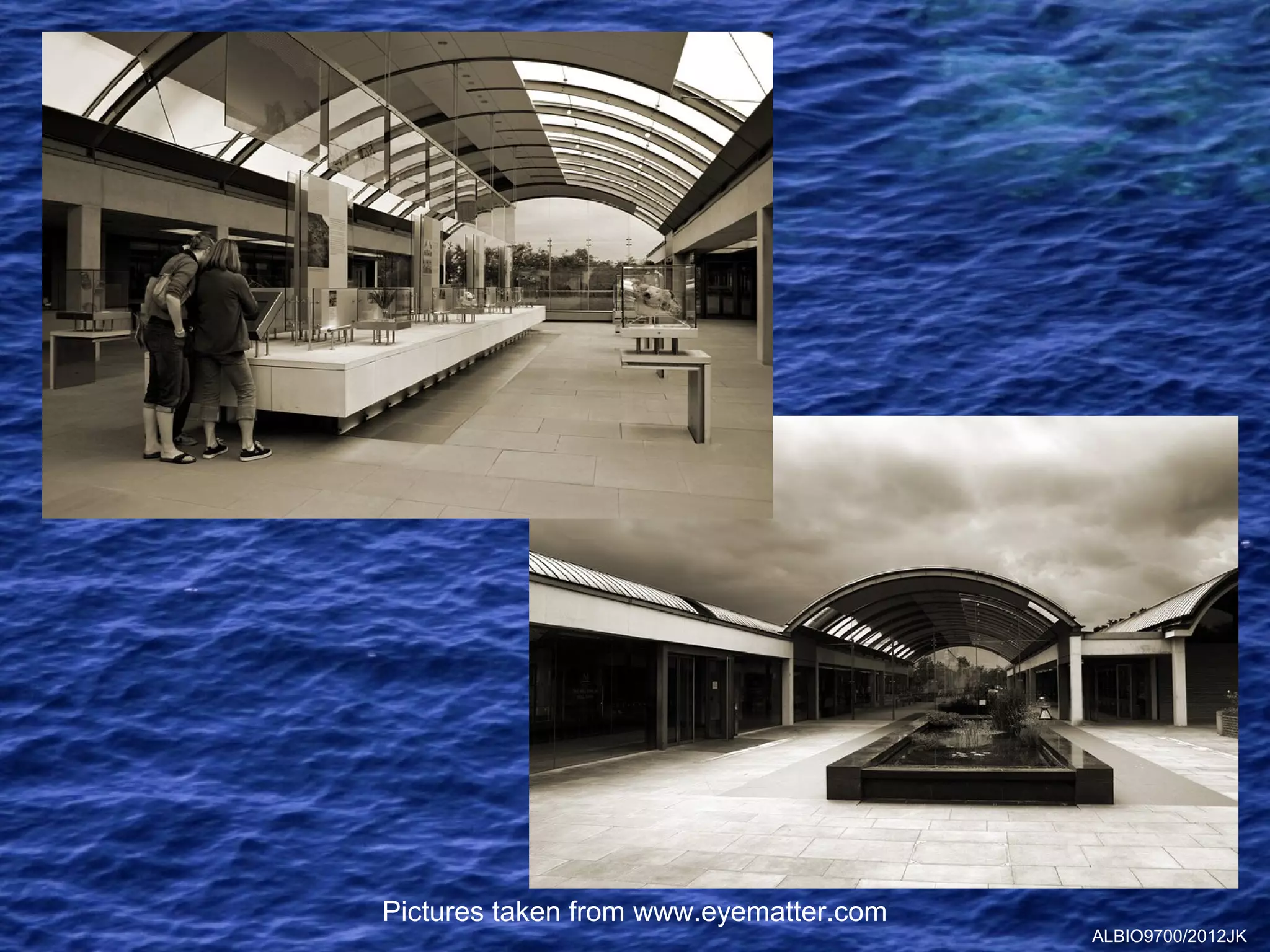 Pictures taken from www.eyematter.com
                                        ALBIO9700/2012JK
 