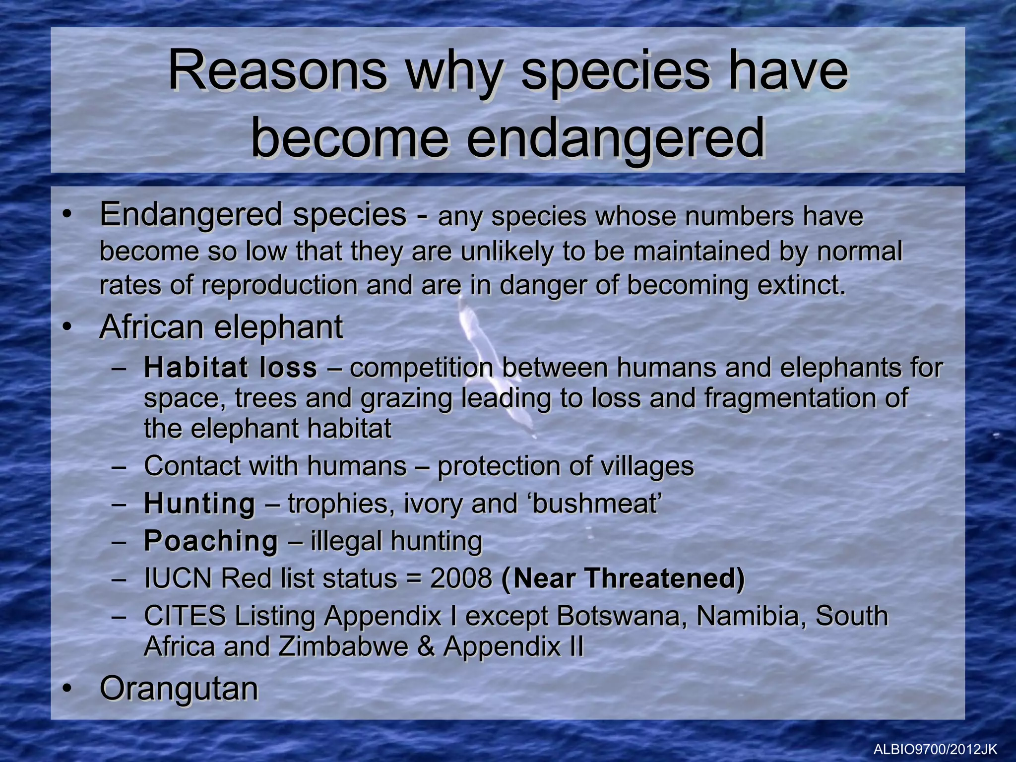 Reasons why species have
         become endangered
• Endangered species - any species whose numbers have
  become so low that they are unlikely to be maintained by normal
  rates of reproduction and are in danger of becoming extinct.
• African elephant
   – Habitat loss – competition between humans and elephants for
     space, trees and grazing leading to loss and fragmentation of
     the elephant habitat
   – Contact with humans – protection of villages
   – Hunting – trophies, ivory and ‘bushmeat’
   – Poaching – illegal hunting
   – IUCN Red list status = 2008 ( Near Threatened)
   – CITES Listing Appendix I except Botswana, Namibia, South
     Africa and Zimbabwe & Appendix II
• Orangutan
                                                              ALBIO9700/2012JK
 