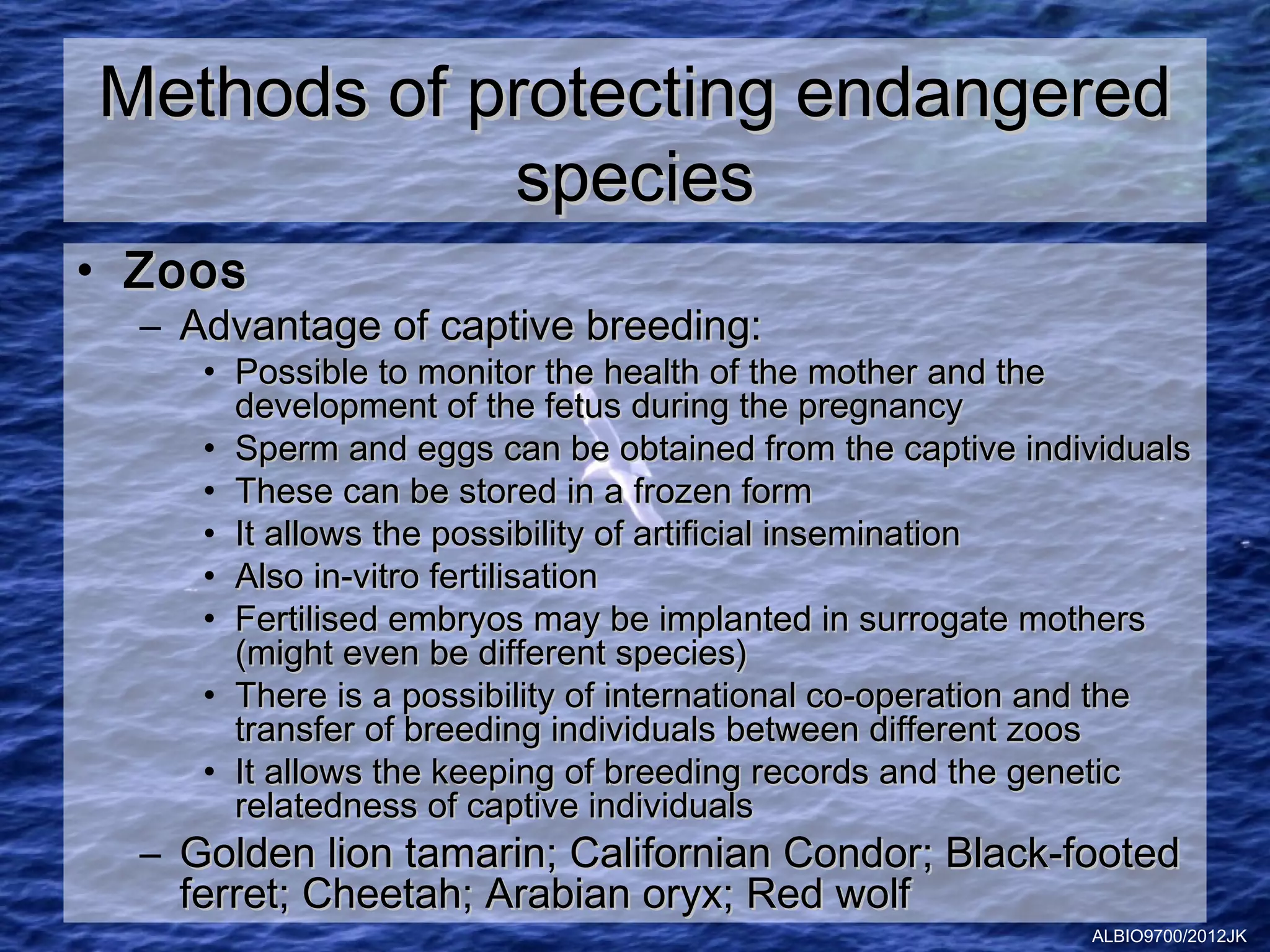 Methods of protecting endangered
            species
• Zoos
  – Advantage of captive breeding:
     • Possible to monitor the health of the mother and the
       development of the fetus during the pregnancy
     • Sperm and eggs can be obtained from the captive individuals
     • These can be stored in a frozen form
     • It allows the possibility of artificial insemination
     • Also in-vitro fertilisation
     • Fertilised embryos may be implanted in surrogate mothers
       (might even be different species)
     • There is a possibility of international co-operation and the
       transfer of breeding individuals between different zoos
     • It allows the keeping of breeding records and the genetic
       relatedness of captive individuals
  – Golden lion tamarin; Californian Condor; Black-footed
    ferret; Cheetah; Arabian oryx; Red wolf
                                                            ALBIO9700/2012JK
 