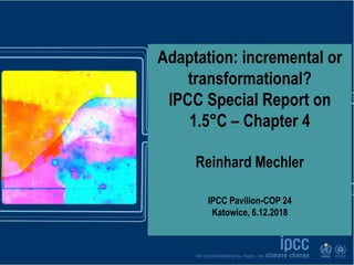 December 5th, 2018
Dr. Debora Ley
Adaptation: incremental or
transformational?
IPCC Special Report on
1.5°C – Chapter 4
Re...