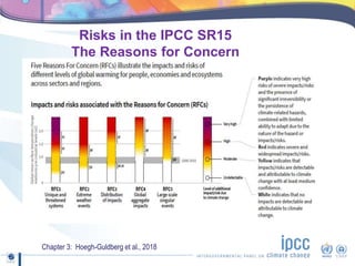 Risks in the IPCC SR15
The Reasons for Concern
Chapter 3: Hoegh-Guldberg et al., 2018
 
