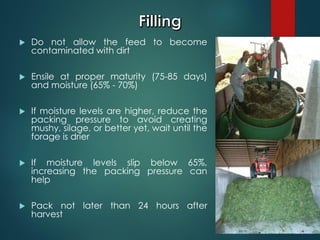  Do not allow the feed to become
contaminated with dirt
 Ensile at proper maturity (75-85 days)
and moisture (65% - 70%)
 If moisture levels are higher, reduce the
packing pressure to avoid creating
mushy, silage, or better yet, wait until the
forage is drier
 If moisture levels slip below 65%,
increasing the packing pressure can
help
 Pack not later than 24 hours after
harvest
 