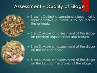  Step 1: Collect a sample of silage that is
representative of what is to be fed to
the animals.
 Step 2: Make an assessment of the silage
on physical appearance and texture.
 Step 3: Make an assessment of the silage
on the basis of color.
 Step 4: Make an assessment of the silage
on the basis of the aroma of the silage.
 