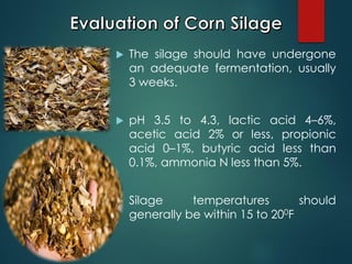  The silage should have undergone
an adequate fermentation, usually
3 weeks.
 pH 3.5 to 4.3, lactic acid 4–6%,
acetic acid 2% or less, propionic
acid 0–1%, butyric acid less than
0.1%, ammonia N less than 5%.
 Silage temperatures should
generally be within 15 to 200F
 