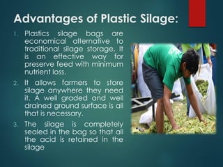Advantages of Plastic Silage:
1. Plastics silage bags are
economical alternative to
traditional silage storage. It
is an effective way for
preserve feed with minimum
nutrient loss.
2. It allows farmers to store
silage anywhere they need
it. A well graded and well
drained ground surface is all
that is necessary.
3. The silage is completely
sealed in the bag so that all
the acid is retained in the
silage
 