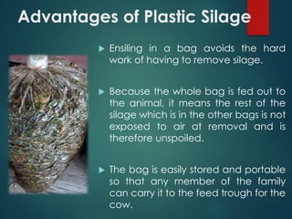 Advantages of Plastic Silage
 Ensiling in a bag avoids the hard
work of having to remove silage.
 Because the whole bag is fed out to
the animal, it means the rest of the
silage which is in the other bags is not
exposed to air at removal and is
therefore unspoiled.
 The bag is easily stored and portable
so that any member of the family
can carry it to the feed trough for the
cow.
 