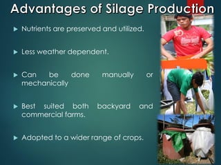  Nutrients are preserved and utilized.
 Less weather dependent.
 Can be done manually or
mechanically
 Best suited both backyard and
commercial farms.
 Adopted to a wider range of crops.
 