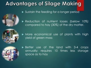  Sustain the feeding for a longer period
 Reduction of nutrient losses (below 10%)
compared to hay (30%) of the dry matter.
 More economical use of plants with high
yield of green mass
 Better use of the land with 3-4 crops
annually; requires 10 times less storage
space as to hay
 