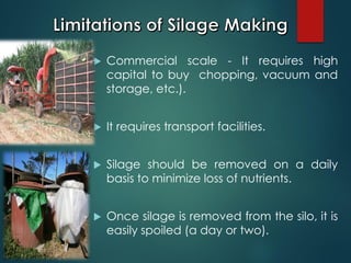  Commercial scale - It requires high
capital to buy chopping, vacuum and
storage, etc.).
 It requires transport facilities.
 Silage should be removed on a daily
basis to minimize loss of nutrients.
 Once silage is removed from the silo, it is
easily spoiled (a day or two).
 