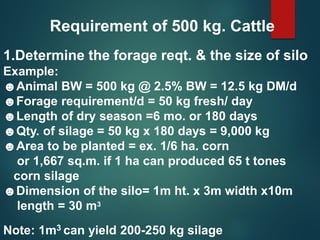 1.Determine the forage reqt. & the size of silo
Example:
☻Animal BW = 500 kg @ 2.5% BW = 12.5 kg DM/d
☻Forage requirement/d = 50 kg fresh/ day
☻Length of dry season =6 mo. or 180 days
☻Qty. of silage = 50 kg x 180 days = 9,000 kg
☻Area to be planted = ex. 1/6 ha. corn
or 1,667 sq.m. if 1 ha can produced 65 t tones
corn silage
☻Dimension of the silo= 1m ht. x 3m width x10m
length = 30 m3
Note: 1m3 can yield 200-250 kg silage
Requirement of 500 kg. Cattle
 