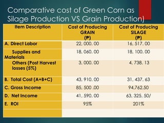 Comparative cost of Green Corn as
Silage Production VS Grain Production)
Item Description Cost of Producing
GRAIN
(₱)
Cost of Producing
SILAGE
(₱)
A. Direct Labor 22, 000. 00 16, 517. 00
Supplies and
Materials
18, 060. 00 18, 100. 00
Others (Post Harvest
losses (5%)
3, 000. 00 4, 738. 13
B. Total Cost (A+B+C) 43, 910. 00 31, 437. 63
C. Gross Income 85, 500 .00 94,762.50
D. Net Income 41, 590. 00 63, 325. 50/
E. ROI 95% 201%
 