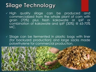  High quality silage can be produced and
commercialized from the whole plant of corn with
grain (70%) plus fresh kakawate or ipil2 or
combination of kakawate and ipil2 (30%) @ 65-70%
MC.
 Silage can be fermented in plastic bags with liner
(for backyard production) and large sacks made
polyethylene for commercial production.
 