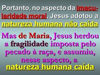 Mas   de   Maria ,   Jesus   herdou a  fragilidade  imposta pelo pecado à raça, e assumiu, nesse aspecto, a  natureza humana caída Portanto,   no   aspecto   da   imacu-laridade   moral ,   Jesus   adotou   a  natureza humana não caída 