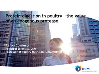 Protein digestion in poultry – the value
of an exogenous protease
Aaron Cowieson
Principal Scientist, DSM
Professor of Poultry Nutrition, University of Sydney
 