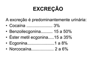 EXCREÇÃO A excreção é predominantemente urinária: Cocaína ...................... 3% Benzoilecgonina.......... 15 a 50% Éster metil ecgonina.....15 a 35% Ecgonina.......................1 a 8% Norcocaína................... 2 a 6% 