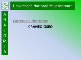 Universidad Nacional de La Matanza

A
N   Carrera de Nutrición:
A            CRÁNEO ÓSEO
T
O
M
I
A
 
