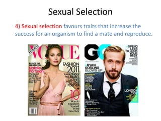 Sexual Selection
4) Sexual selection favours traits that increase the
success for an organism to find a mate and reproduce.

 