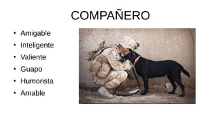 COMPAÑERO
●
Amigable
●
Inteligente
●
Valiente
●
Guapo
●
Humorista
●
Amable
 