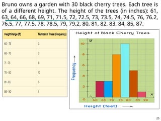 25
Bruno owns a garden with 30 black cherry trees. Each tree is
of a different height. The height of the trees (in inches): 61,
63, 64, 66, 68, 69, 71, 71.5, 72, 72.5, 73, 73.5, 74, 74.5, 76, 76.2,
76.5, 77, 77.5, 78, 78.5, 79, 79.2, 80, 81, 82, 83, 84, 85, 87.
 