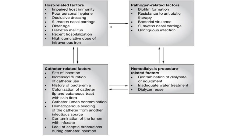 hemodialysis catheter infection