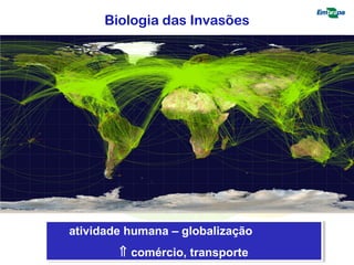 Biologia das Invasões 
atividade humana – globalização 
atividade humana – globalização 
Ý comércio, transporte 
Ý comércio, transporte 
 