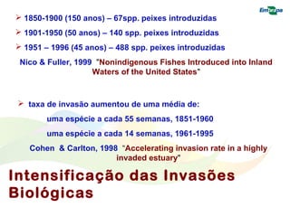  1850-1900 (150 anos) – 67spp. peixes introduzidas 
 1901-1950 (50 anos) – 140 spp. peixes introduzidas 
 1951 – 1996 (45 anos) – 488 spp. peixes introduzidas 
Nico & Fuller, 1999 "Nonindigenous Fishes Introduced into Inland 
Waters of the United States" 
 taxa de invasão aumentou de uma média de: 
uma espécie a cada 55 semanas, 1851-1960 
uma espécie a cada 14 semanas, 1961-1995 
Cohen & Carlton, 1998 “Accelerating invasion rate in a highly 
invaded estuary" 
Intensificação das Invasões 
Biológicas 
 