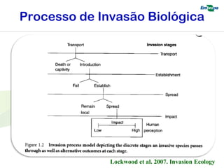 Processo de Invasão Biológica 
Lockwood et al. 2007. Invasion Ecology 
 