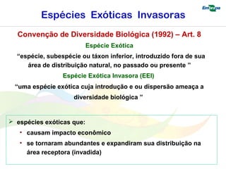 Espécies Exóticas Invasoras 
Convenção de Diversidade Biológica (1992) – Art. 8 
Espécie Exótica 
“espécie, subespécie ou táxon inferior, introduzido fora de sua 
área de distribuição natural, no passado ou presente ” 
Espécie Exótica Invasora (EEI) 
“uma espécie exótica cuja introdução e ou dispersão ameaça a 
diversidade biológica ” 
 espécies exóticas que: 
• causam impacto econômico 
• se tornaram abundantes e expandiram sua distribuição na 
área receptora (invadida) 
 