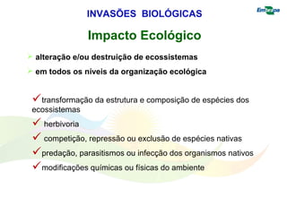 INVASÕES BIOLÓGICAS 
Impacto Ecológico 
 alteração e/ou destruição de ecossistemas 
 em todos os níveis da organização ecológica 
transformação da estrutura e composição de espécies dos 
ecossistemas 
 herbivoria 
 competição, repressão ou exclusão de espécies nativas 
predação, parasitismos ou infecção dos organismos nativos 
modificações químicas ou físicas do ambiente 
 