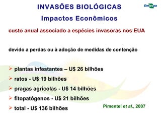 INVASÕES BIOLÓGICAS 
Impactos Econômicos 
custo anual associado a espécies invasoras nos EUA 
devido a perdas ou à adoção de medidas de contenção 
 plantas infestantes – U$ 26 bilhões 
 ratos - U$ 19 bilhões 
 pragas agrícolas - U$ 14 bilhões 
 fitopatógenos - U$ 21 bilhões 
 total - U$ 136 bilhões 
Pimentel et al., 2007 
 