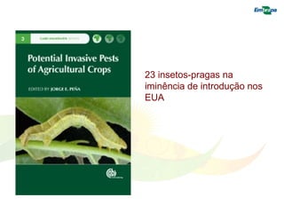 23 insetos-pragas na 
iminência de introdução nos 
EUA 
 