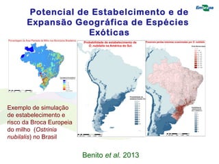 Potencial de Estabelcimento e de 
Expansão Geográfica de Espécies 
Exóticas 
Exemplo de simulação 
de estabelecimento e 
risco da Broca Europeia 
do milho (Ostrinia 
nubilalis) no Brasil 
Benito et al. 2013 
 