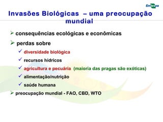 Invasões Biológicas – uma preocupação 
mundial 
 consequências ecológicas e econômicas 
 perdas sobre 
 diversidade biológica 
 recursos hídricos 
 agricultura e pecuária (maioria das pragas são exóticas) 
 alimentação/nutrição 
 saúde humana 
 preocupação mundial - FAO, CBD, WTO 
 
