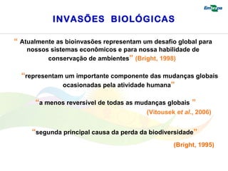 INVASÕES BIOLÓGICAS 
“ Atualmente as bioinvasões representam um desafio global para 
nossos sistemas econômicos e para nossa habilidade de 
conservação de ambientes” (Bright, 1998) 
“representam um importante c omponente das mudanças globais 
ocasionadas pela atividade humana” 
“a menos reversível de todas as mudanças globais ” 
(Vitousek et al., 2006) 
“segunda principal causa da perda da biodiversidade” 
(Bright, 1995) 
 