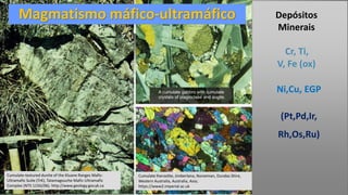 Cumulate-textured dunite of the Kluane Ranges Mafic-
Ultramafic Suite (TrK), Tatamagouche Mafic-Ultramafic
Complex (NTS 115G/06). http://www.geology.gov.yk.ca
Cumulate lherzolite, Jimberlana, Norseman, Dundas Shire,
Western Australia, Australia, Asia;
https://www2.imperial.ac.uk
Magmatismo máfico-ultramáfico
Cr, Ti,
V, Fe (ox)
Ni,Cu, EGP
(Pt,Pd,Ir,
Rh,Os,Ru)
Depósitos
Minerais
 