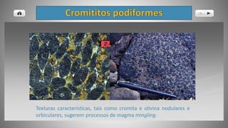 Texturas características, tais como cromita e olivina nodulares e
orbiculares, sugerem processos de magma mingling.
 