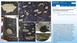 https://doi.org/10.1073/pnas.1611086114
Representative photographs of capped
globules from the Noril'sk magmatic Ni–
Cu–PGE deposits. (A) Sample VZU-9B from
the Ni–Cu–PGE globular sulfides within
the Kharaelakh intrusion. (B) Photograph
of a sample of globular ore from the
Oktyabrysk deposit, courtesy of Peter
Lightfoot. (C and D) Photos of drill core
samples, respectively, from drill hole
OUG-2 (Talnakh deposit) and from drill
hole RT-7 (Oktyabrysk deposit). (E) Sample
NOR1-4a and (F) Sample NOR1-3a, both
from the globular ore of the Noril'sk I
deposit
 
