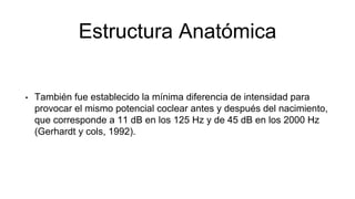 Estructura Anatómica
• También fue establecido la mínima diferencia de intensidad para
provocar el mismo potencial coclear antes y después del nacimiento,
que corresponde a 11 dB en los 125 Hz y de 45 dB en los 2000 Hz
(Gerhardt y cols, 1992).
 