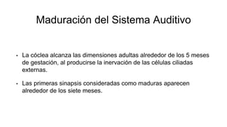 Maduración del Sistema Auditivo
• La cóclea alcanza las dimensiones adultas alrededor de los 5 meses
de gestación, al producirse la inervación de las células ciliadas
externas.
• Las primeras sinapsis consideradas como maduras aparecen
alrededor de los siete meses.
 