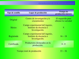 Tipo de semilla Lugar de producción
Tiempo de
producción (meses)
Original
Centro de investigación y/o
cruzamientos
El requerido para
obtener la variedad
Básica
Campo experimental del ingenio,
Instituto de docencia o
Investigación.
9
Registrada
Campo experimental del ingenio,
Instituto de docencia o
Investigación.
16 – 18
Certificada
Productores destacados en la
producción.
8 –9
Tiempo total de producción 33 – 36
Genotecnia de la Caña de AzúcarGenotecnia de la Caña de Azúcar
 