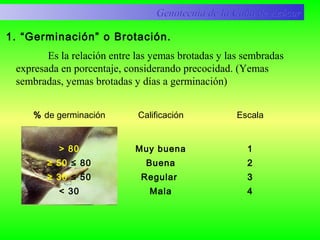 1. “Germinación” o Brotación.
Genotecnia de la Caña de AzúcarGenotecnia de la Caña de Azúcar
Es la relación entre las yemas brotadas y las sembradas
expresada en porcentaje, considerando precocidad. (Yemas
sembradas, yemas brotadas y días a germinación)
% de germinación Calificación Escala
> 80
≥ 50 ≤ 80
≥ 30 ≤ 50
< 30
Muy buena
Buena
Regular
Mala
1
2
3
4
 
