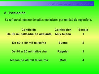 8. Población
Condición Calificación Escala
De 80 mil tallos/ha en adelante
De 60 a 80 mil tallos/ha
De 40 a 60 mil tallos /ha
Menos de 40 mil tallos /ha
Muy buena
Buena
Regular
Mala
1
2
3
4
Genotecnia de la Caña de AzúcarGenotecnia de la Caña de Azúcar
Se refiere al número de tallos molederos por unidad de superficie.
 