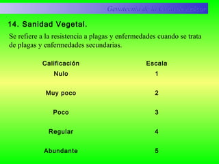 14. Sanidad Vegetal.
Calificación Escala
Nulo
Muy poco
Poco
Regular
Abundante
1
2
3
4
5
Genotecnia de la Caña de AzúcarGenotecnia de la Caña de Azúcar
Se refiere a la resistencia a plagas y enfermedades cuando se trata
de plagas y enfermedades secundarias.
 