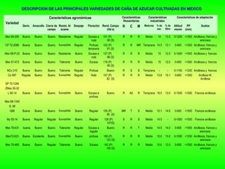DESCRIPCION DE LAS PRINCIPALES VARIEDADES DE CAÑA DE AZUCAR CULTIVADAS EN MEXICODESCRIPCION DE LAS PRINCIPALES VARIEDADES DE CAÑA DE AZUCAR CULTIVADAS EN MEXICO
Variedad
Características agronómicas Características
fitosanitarias
Características
industriales
Características de adaptación
Germ. Amacollo Cierre de
campo
Resist. Al
acame
Despaje Floración Rend. Campo
(Ha’s)
R C M Madurez % de
sac.
% de
fibra
Altitud
msnm
PP
(mm)
Suelos
Mex 69-290 Buena Bueno Bueno Resistente Regular Escasa a
nula
101 (P)
90 (S)
R R R Media 14 13.5 0-1200 >1500 Arcillosos, francos y
arenosos
CP 72-2086 Buena Bueno Bueno Susceptible Regular Profusa
temprana
102 (P)
91 (S)
R R MR Temprana 14.5 13.1 0-900 >1500 Arcillosos, francos y
arenosos
Mex 68-P-23 Buena Bueno Bueno Resistente Bueno Escasa a
nula
127 (P)
88 (S)
R R R Media 15 12.5 0-1000 >1500 Arcillosos y francos
Mex 57-473 Buena Bueno Bueno Tolerante Bueno Escasa 118 (P)
90 (S)
R R R Media 15 12.5 0-900 >1500 Arcillosos y francos
NCo 310 Buena Bueno Bueno Tolerante Regular Profusa Bueno R S S Temprana - - 0-1100 >1200 Arcillosos y francos
Co 997 Regular Bueno Bueno Susceptible Regular Nula 107 (P)
82 (S)
R R R Media 13.8 15.1 0-800 >1500 Arcilloso M.
Arcillosa
SP 70-1284
ZMex 55-32
L 60-14 Buena Bueno Bueno Susceptible Bueno Escasa a
profusa
Bueno R AS R Temprana 16.0 13.0 0-1500 >1500 Francos arcillosos
Mex 68-1345
Q 68
Q96 Buena Bueno Bueno Susceptible Bueno Regular 105 (P)
95 (S)
MR T S Media 15.1 14.5 0-900 >1500 Francos arcillosos
My 55-14 Buena Regular Regular Susceptible Bueno Regular 128 (P)
107(S)
S R S Media 14.5 - 0-1500 >1500 Francos arcillosos
Mex 79-431 buena Bueno Bueno Tolerante Regular Escasa a
regular
Bueno R R T Media 14.0 14.0 0-900 >1500 Arcillosos, francos y
arenosos.
Mex73-523 Buena Excelente Bueno Susceptible Bueno profusa 168 (P)
123 (S)
R R R Media 15.0 13.0 0-1500 >1200 Arcillosos, francos y
arenosos
Mex 70-485 Buena Bueno Regular Tolerante Bueno Escasa 142 (P)
100 (S)
R R R Media 15.6 12.0 0-900 >1500 Arcillosos, francos y
arenosos
 